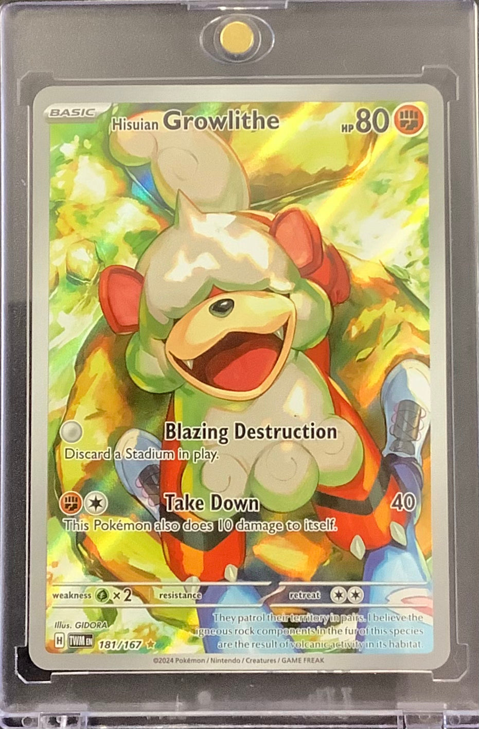 POKEMON S/V TWILIGHT MASQUERADE - HISUIAN GROWLITHE SPECIAL ILLUSTRATION RARE 181/167 - MINT