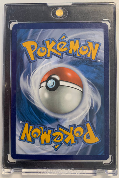 2024 POKEMON S/V TEMPORAL FORCES - RAGING BOLT EX SPECIAL ILLUSTRATION RARE #208 - MINT!