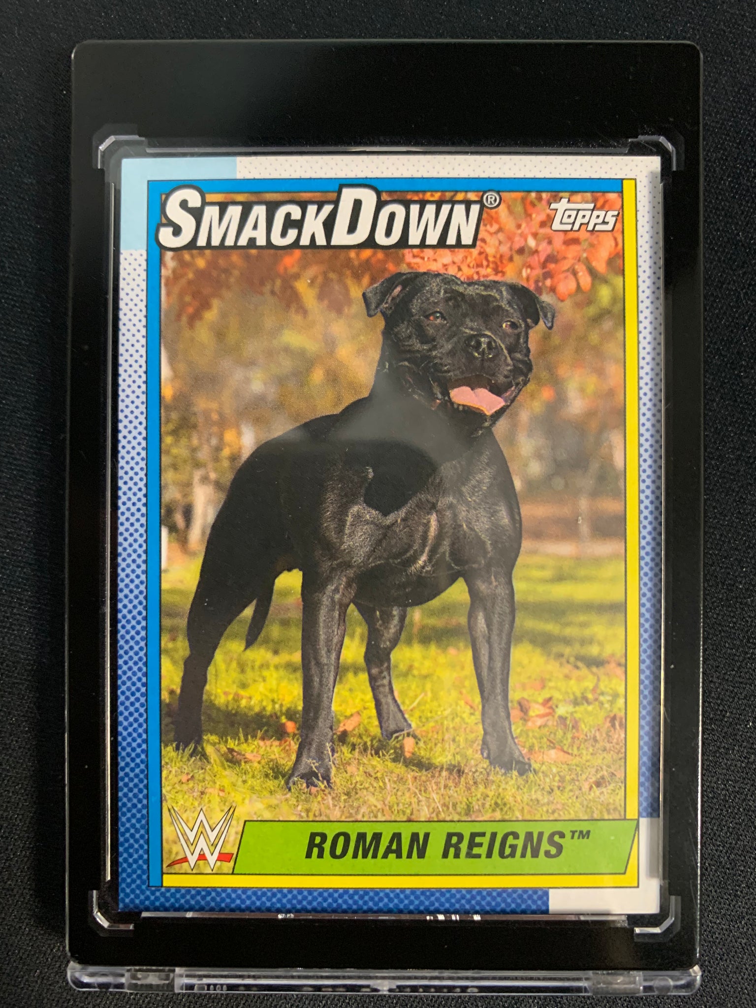 2021 TOPPS WWE HERITAGE #70 - ROMAN REIGNS IMAGE VARIATION SSP
