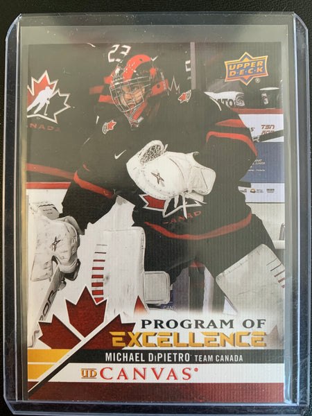 2020-21 UPPER DECK HOCKEY #C261 - MICHAEL DIPIETRO PROGRAM OF EXCELLENCE CANVAS ROOKIE CARD